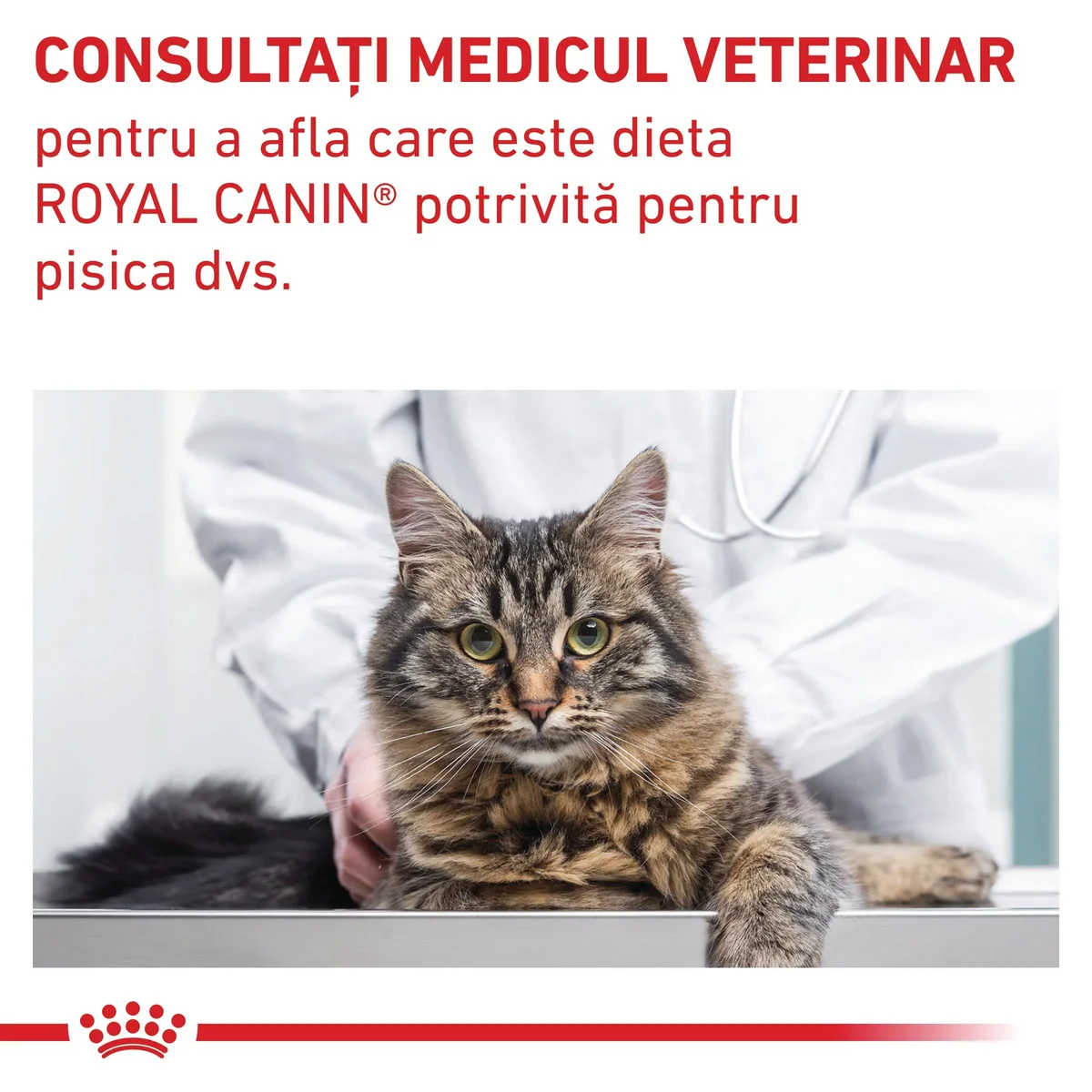ROYAL CANIN VD Gastrointestinal Fibre Response, dietă veterinară, hrană uscată pisici, sistem digestiv, 2kg