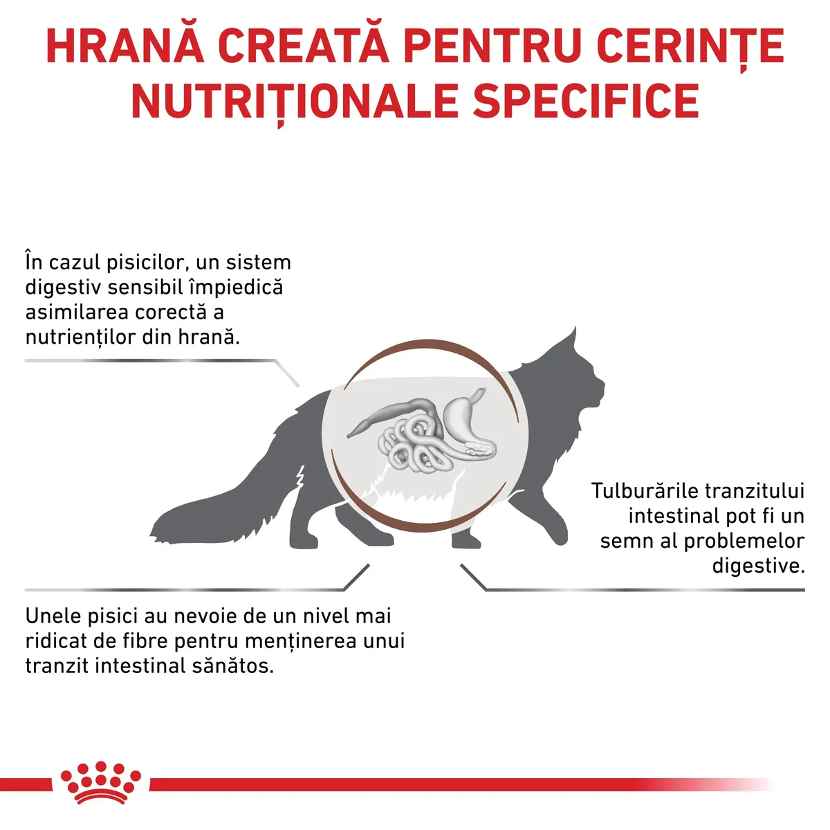 ROYAL CANIN VD Gastrointestinal Fibre Response, dietă veterinară, hrană uscată pisici, sistem digestiv, 400g