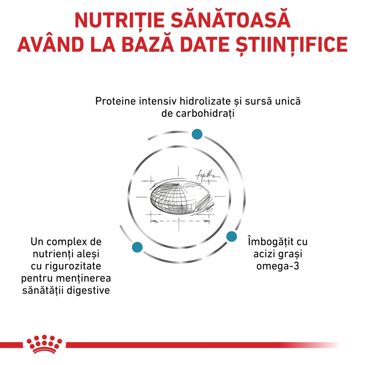 ROYAL CANIN VD Hypoallergenic, XS-XL, dietă veterinară, hrană uscată câini, alergii alimentare, 7kg