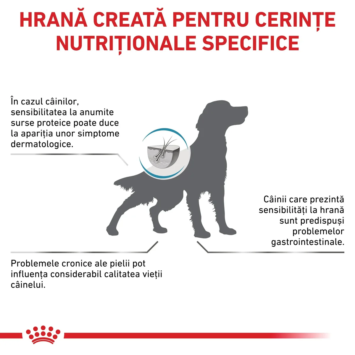 ROYAL CANIN VD Hypoallergenic, XS-XL, dietă veterinară, hrană uscată câini, alergii alimentare, 14kg