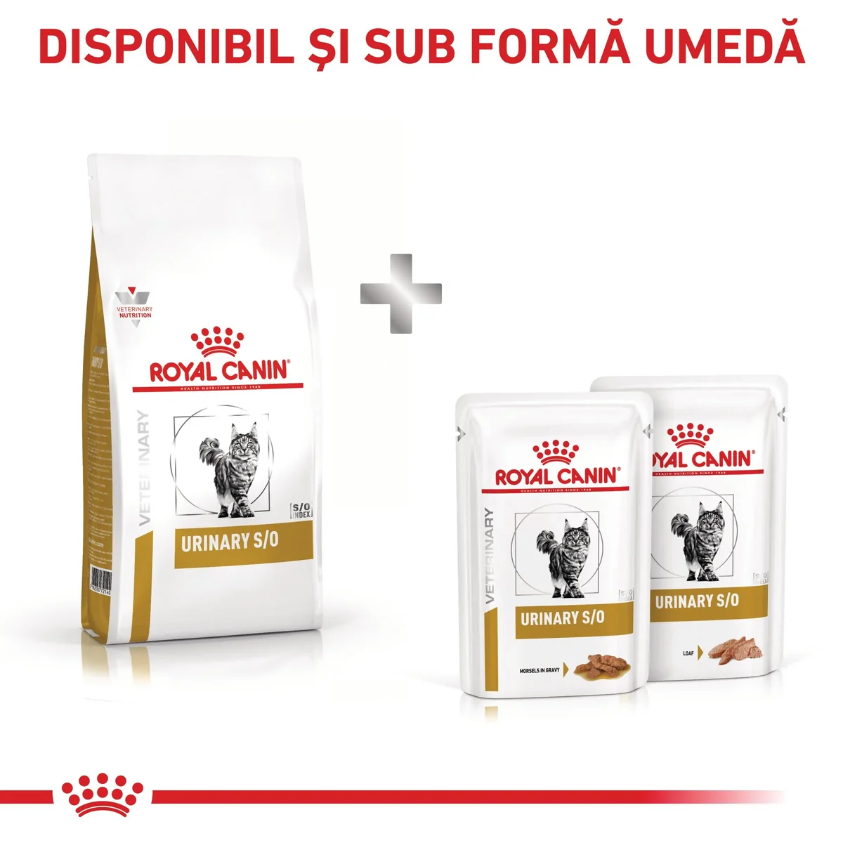 ROYAL CANIN VD Urinary S/O, dietă veterinară, hrană uscată pisici, sistem urinar, 7kg