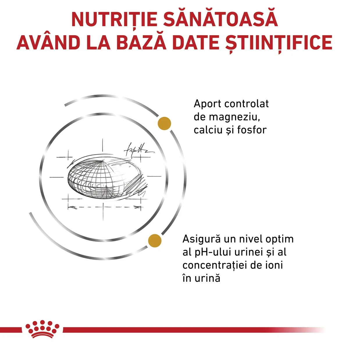 ROYAL CANIN VD Urinary S/O, dietă veterinară, hrană uscată pisici, sistem urinar, 1.5kg