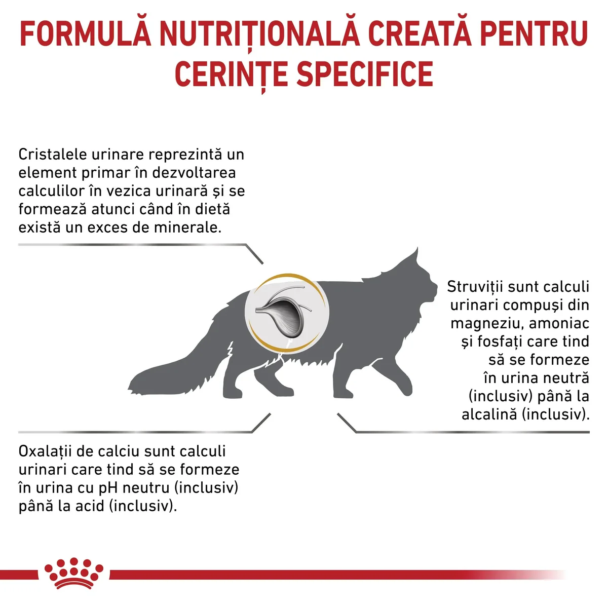 ROYAL CANIN VD Urinary S/O, dietă veterinară, hrană uscată pisici, sistem urinar, 400g