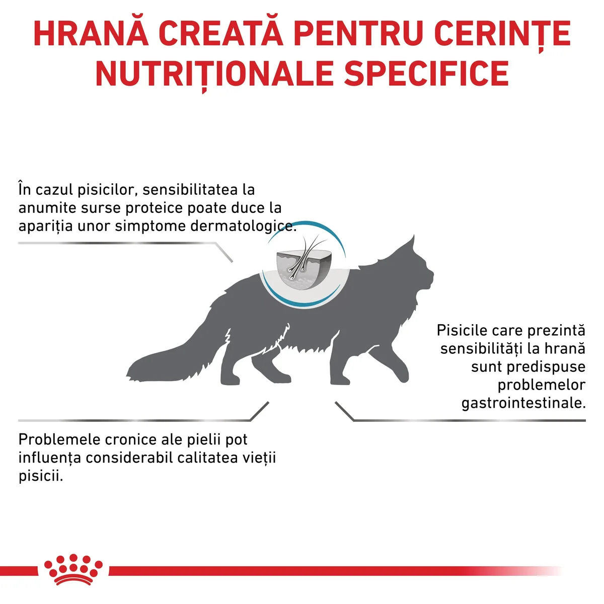 ROYAL CANIN VD Anallergenic, dietă veterinară, hrană uscată pisici, alergii, 2kg