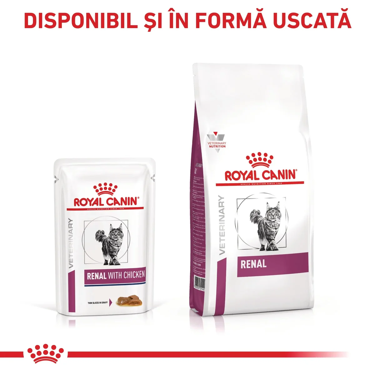ROYAL CANIN VD Renal, Pui, dietă veterinară, plic hrană umedă pisici, sistem renal, (în sos), bax, 85g x 12buc
