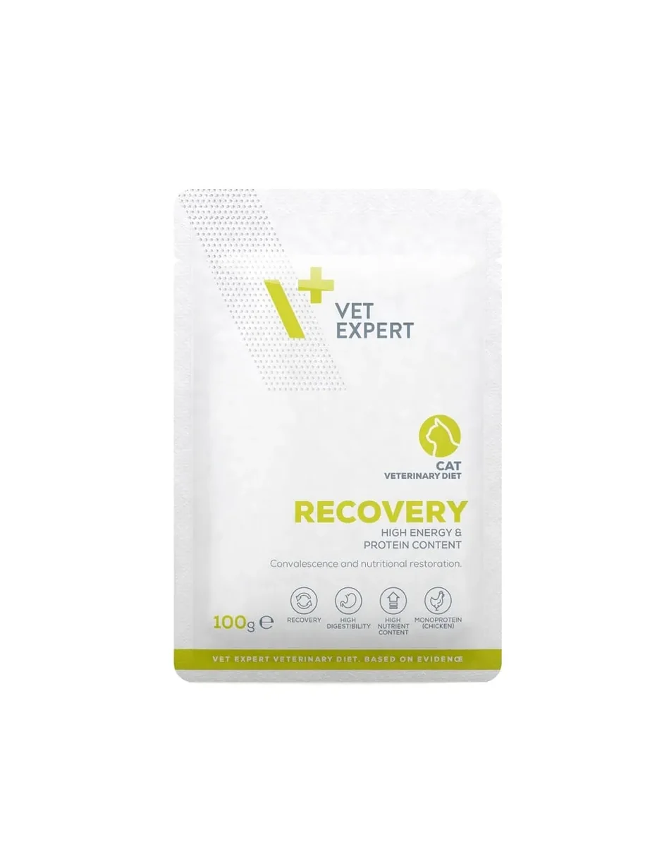 Hrana dietetica pentru pisici Recovery VetExpert 100 gr