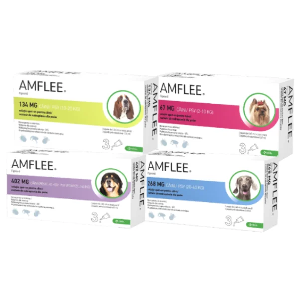 Amflee Pipeta Caine - l