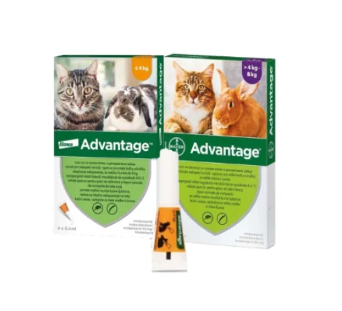 Advantage Pipeta Pisica - peste-4-kg