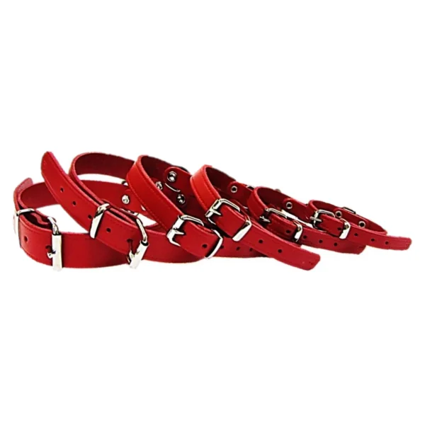 Pet Expert Zgarda Clasic - nr-0