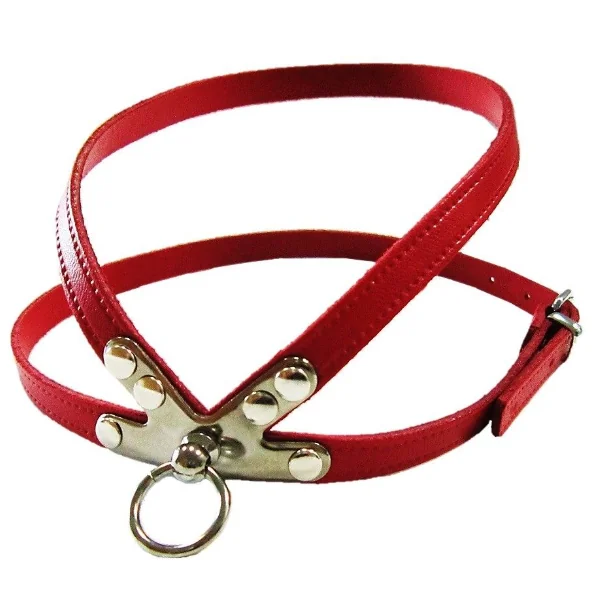 Pet Expert Ham Clasic Rosu - pet-expert,nr-3