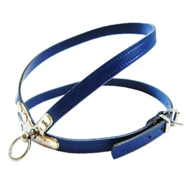 Pet Expert Ham Clasic Albastru - pet-expert,nr-2