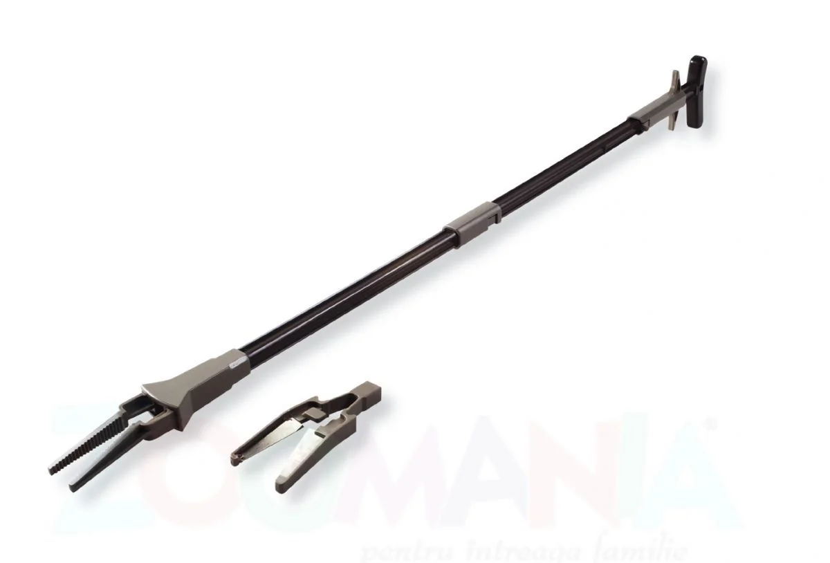 Marina Cleste Plante 11012