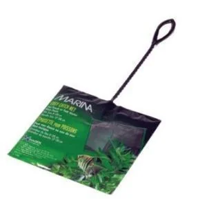 Marina Mincioc Verde 8 cm