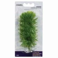 Marina Plante Mini Hornwort 12074
