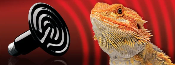 Exo Terra Bec Încălzitor Ceramică 100W