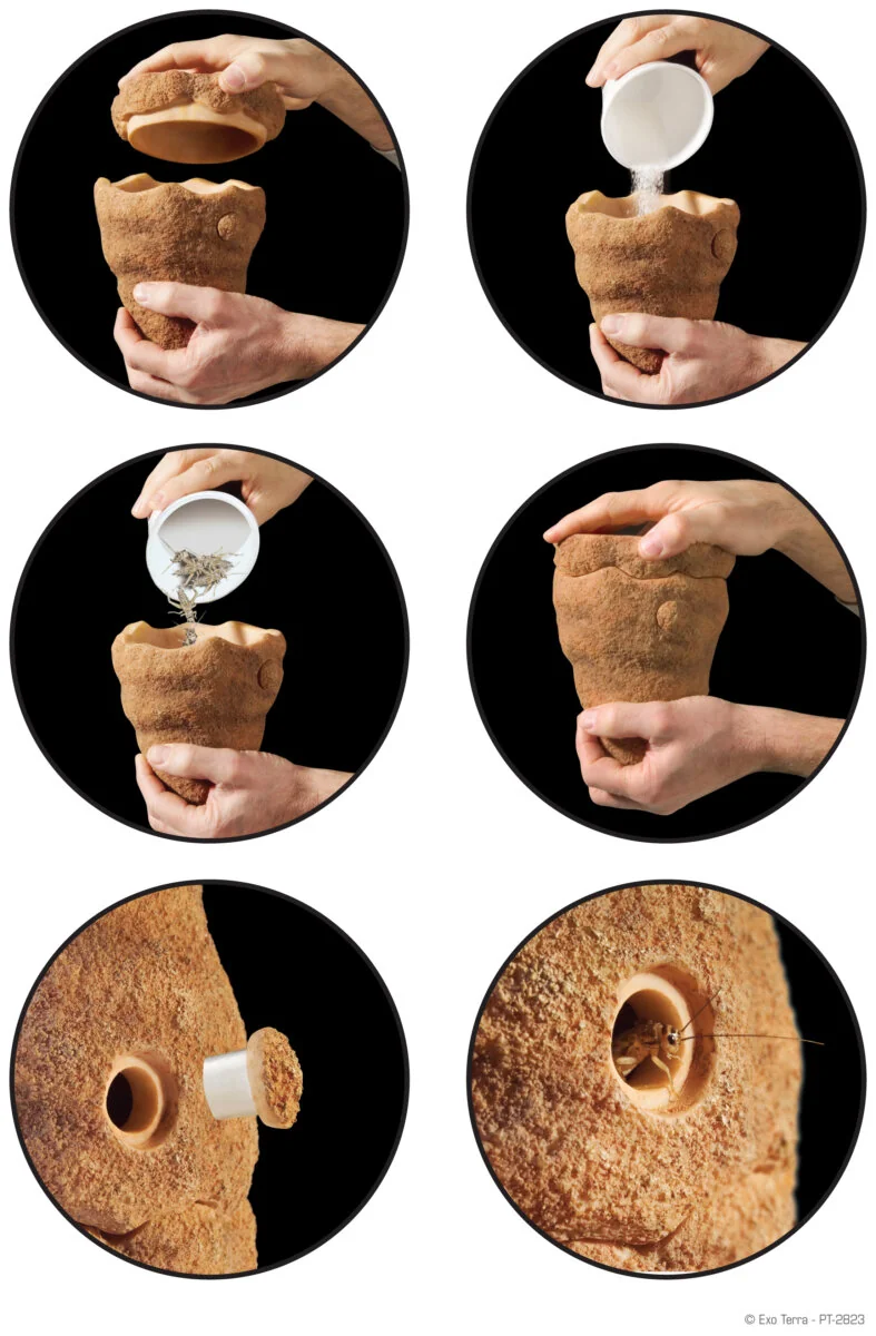 Exo Terra Hranitor Meniu Termite Hill