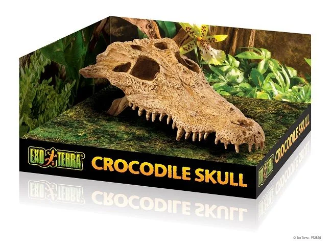 Exo Terra Decor Crocodile Skull PT2856