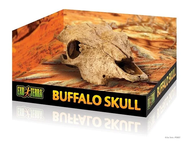 Exo Terra Decor Buffalo Skull PT2857