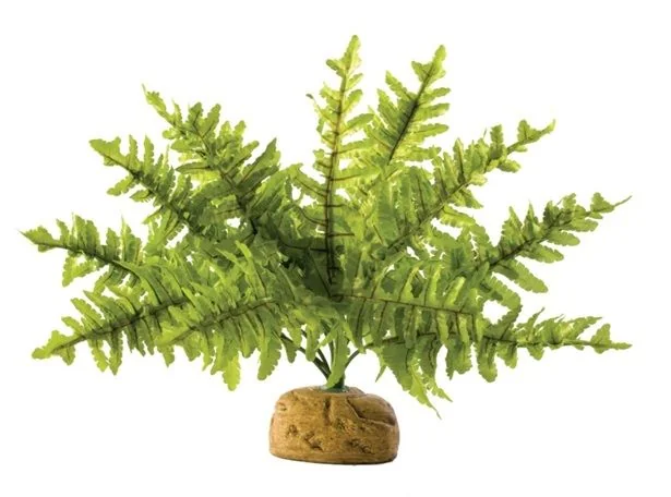 Exo Terra Planta Boston Fern Small PT2990