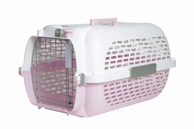 Hagen Cusca Transport Voyageur S Roz