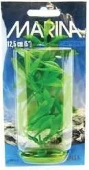 Marina Plante Hygrophila 20 cm PP813