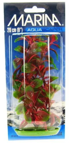 Marina Plante Red Ludwigia 20 cm PP819