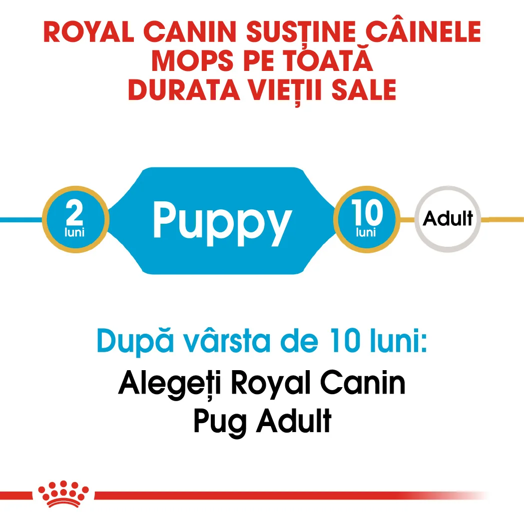 Royal Canin Pug Puppy 1.5 kg