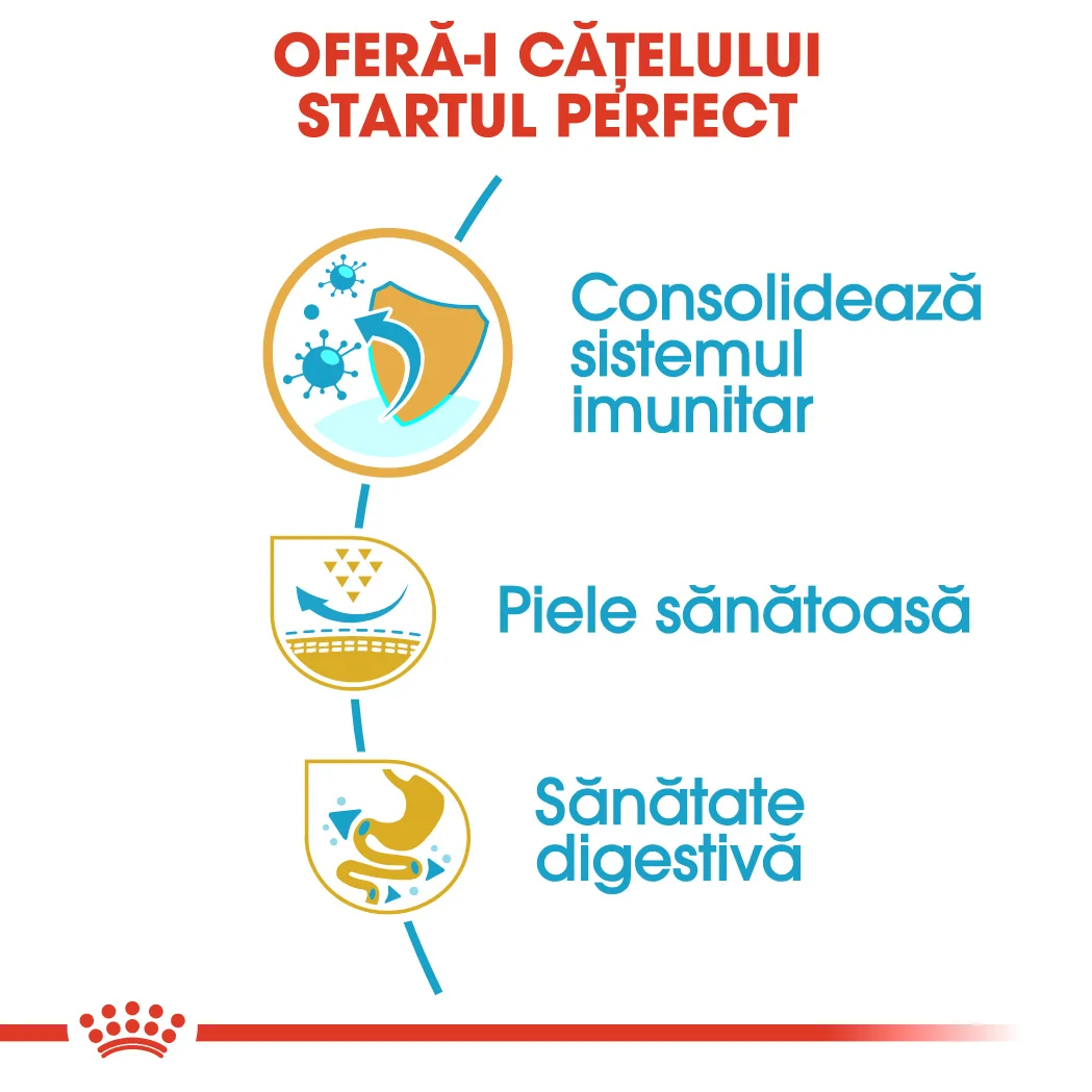 Royal Canin Pug Puppy 1.5 kg