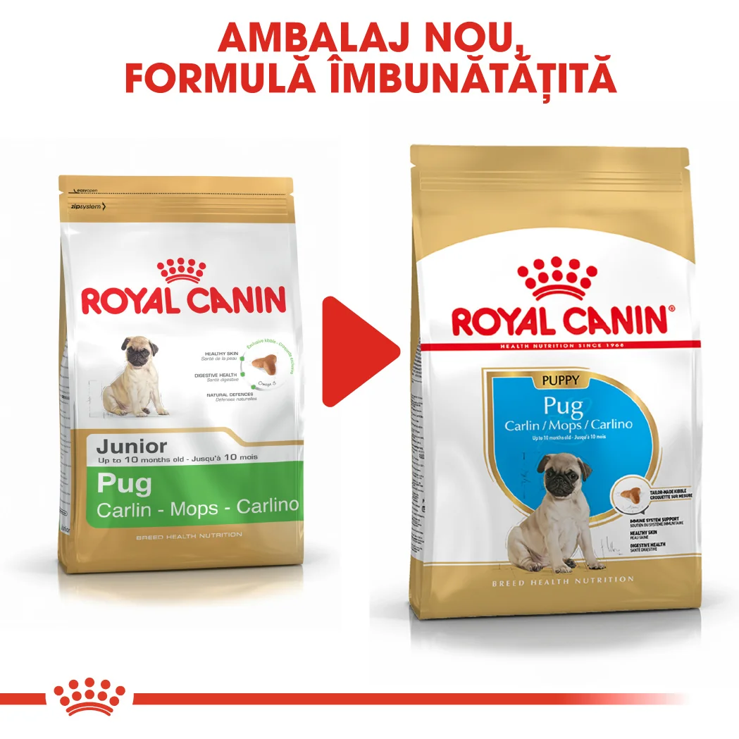 Royal Canin Pug Puppy 1.5 kg