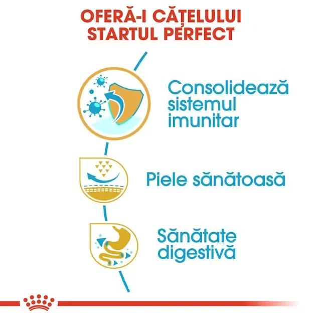 Royal Canin Pug Puppy 1.5 kg