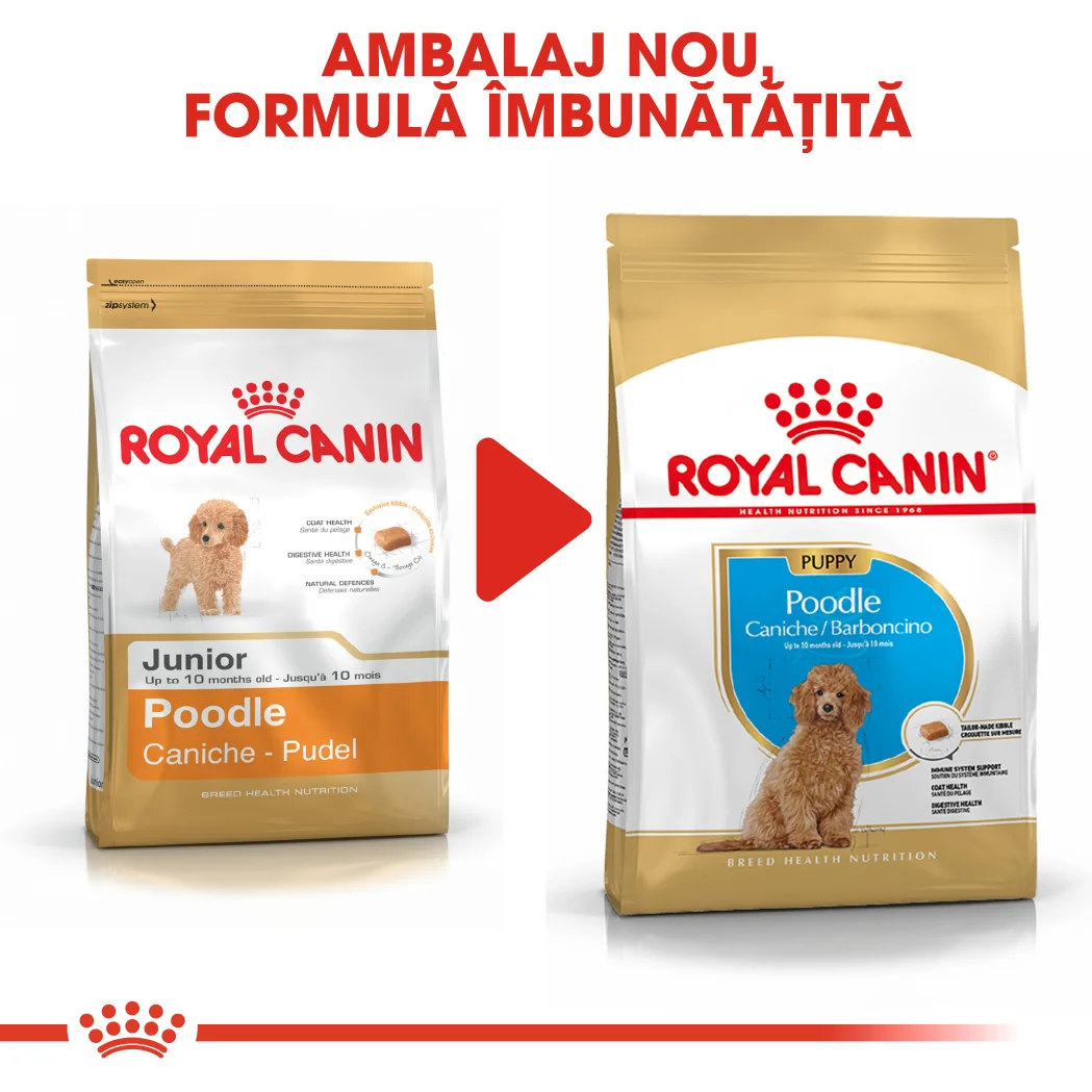 Royal Canin Pug Puppy 1.5 kg