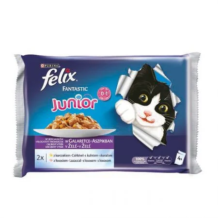 Felix Fantastic Plic Junior 4 x 85 g