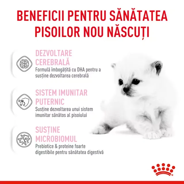 Royal Baby Cat Milk 300 g