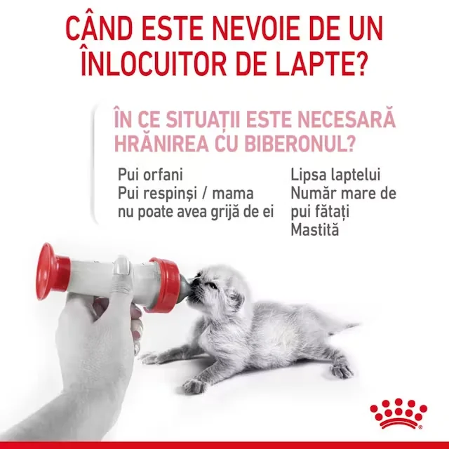 Royal Baby Cat Milk 300 g