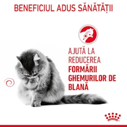 Royal Canin Felin Hairball Care