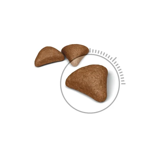 Royal Canin Felin Hairball Care