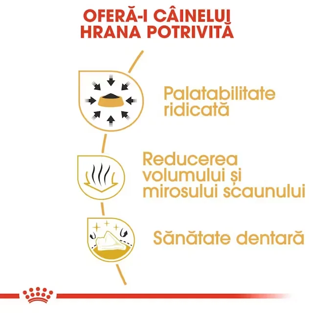 Royal Canin Chihuahua Adult