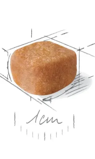 Royal Canin Yorkshire Terrier Puppy