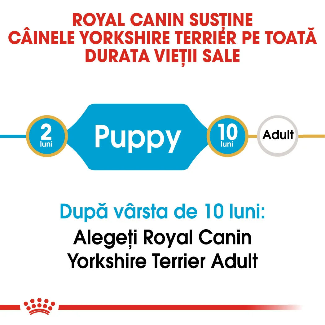Royal Canin Yorkshire Terrier Puppy