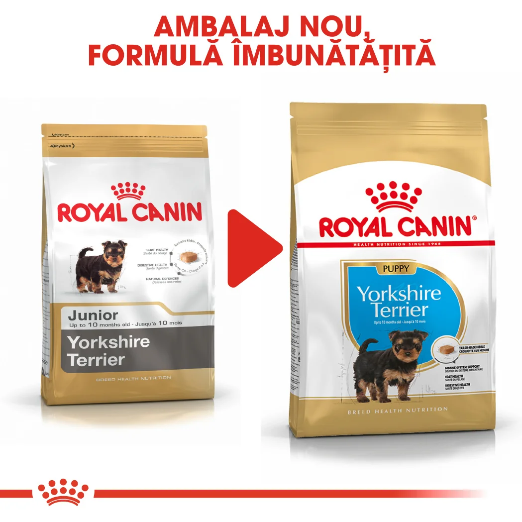 Royal Canin Yorkshire Terrier Puppy