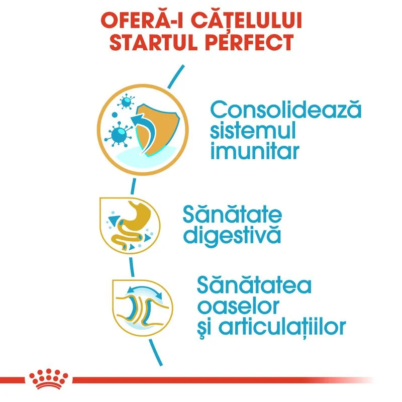 Royal Canin Bulldog Puppy 3 kg