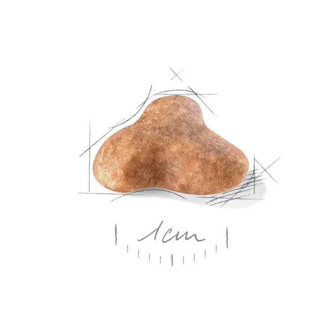 Royal Canin Pug 1.5 kg