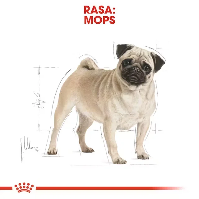 Royal Canin Pug 1.5 kg