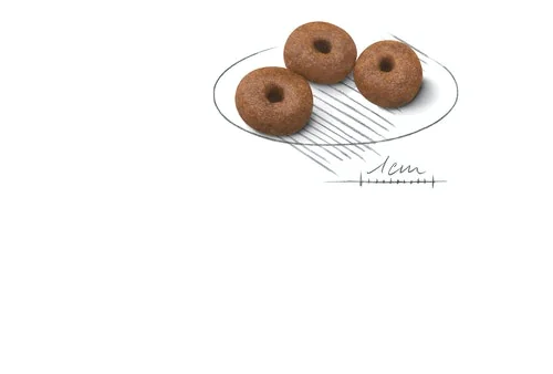 Royal Canin Giant Starter Mother & Babydog 15 kg