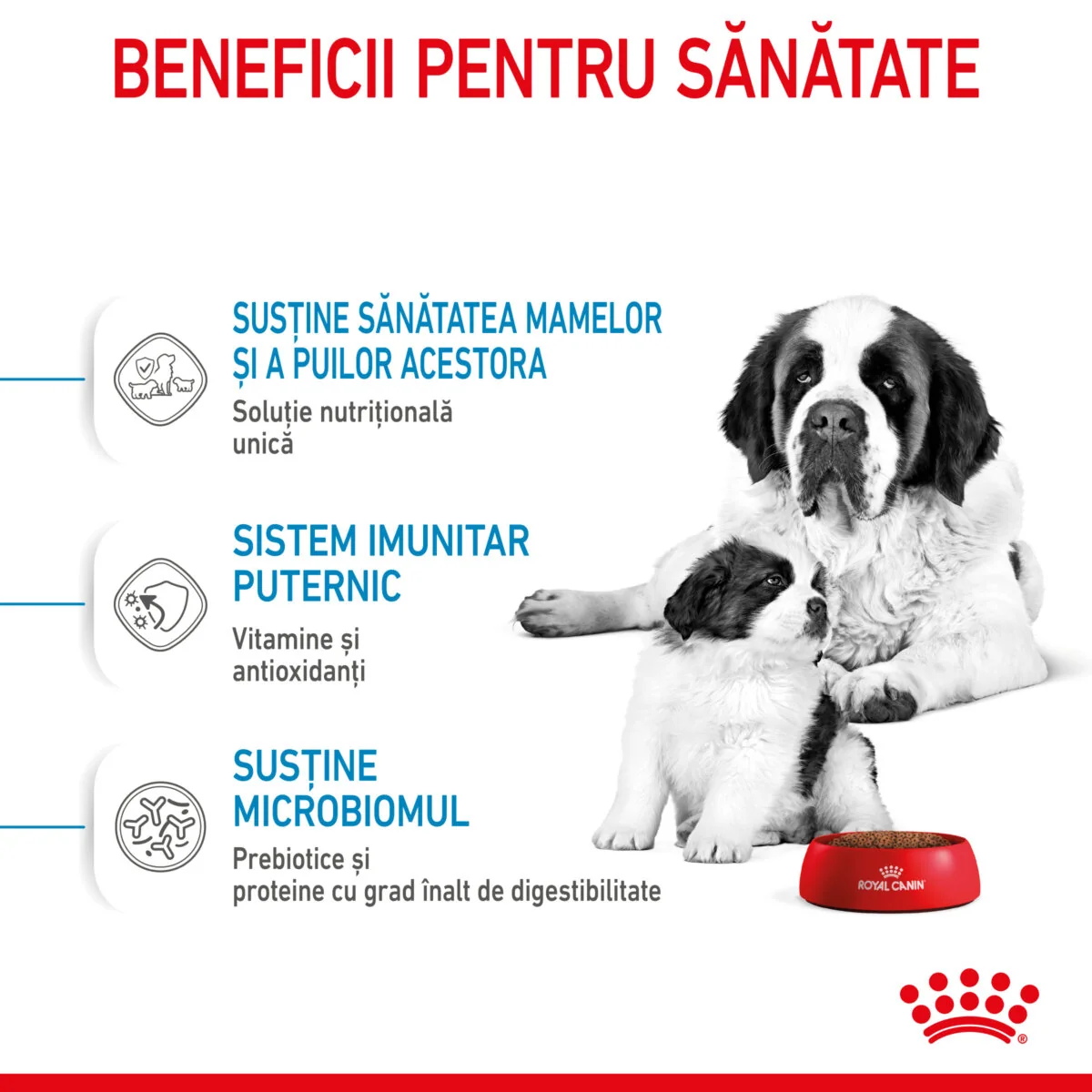 Royal Canin Giant Starter Mother & Babydog 15 kg