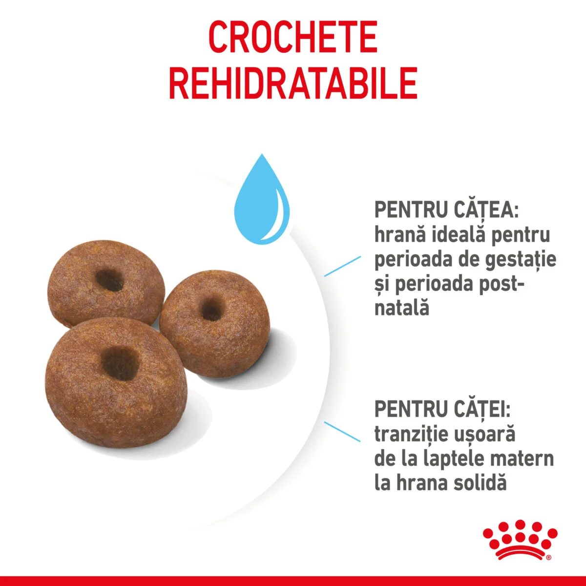 Royal Canin Giant Starter Mother & Babydog 15 kg