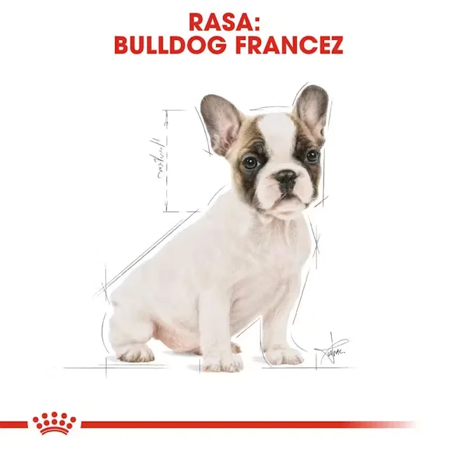 Royal Canin French Bulldog Puppy 3 kg