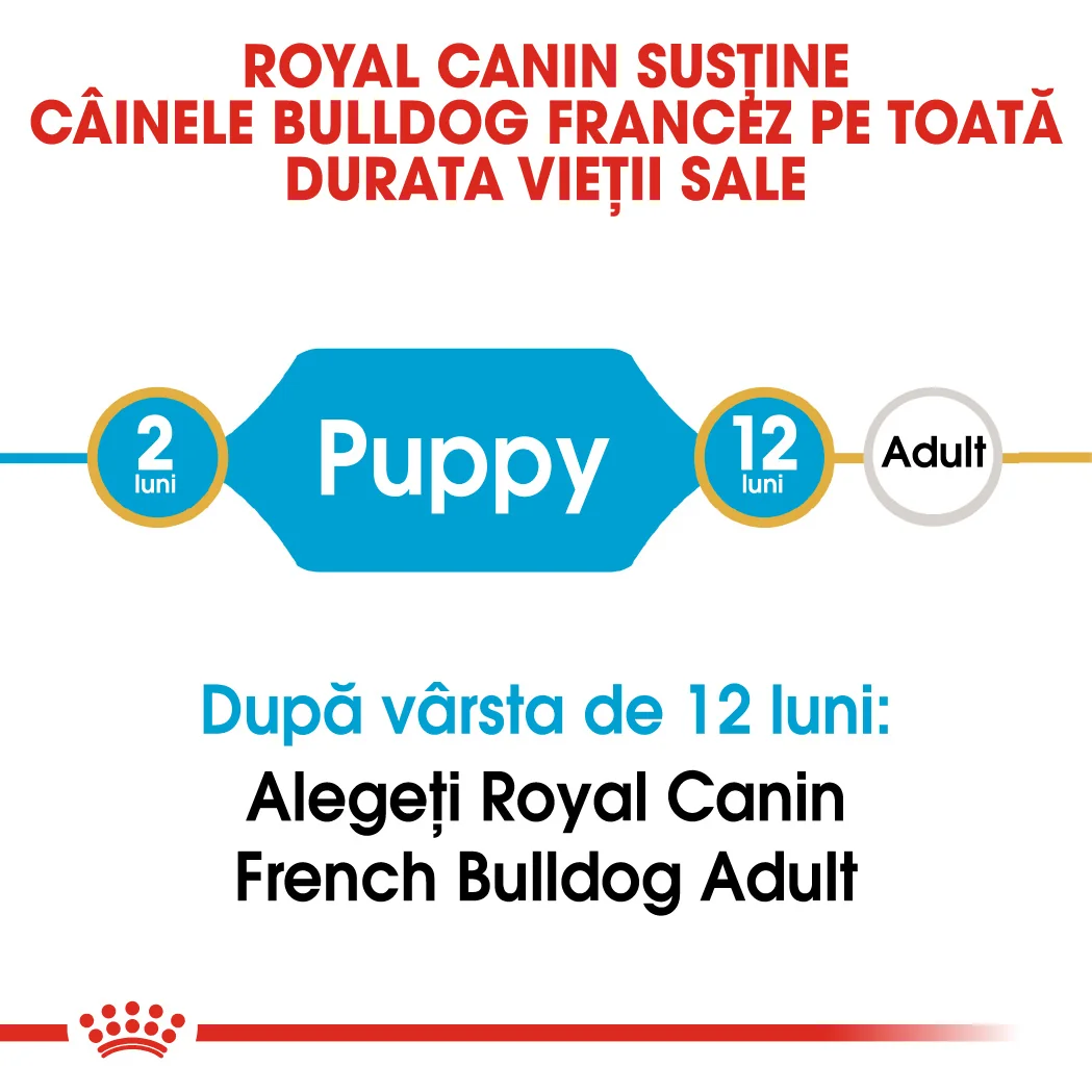 Royal Canin French Bulldog Puppy 3 kg
