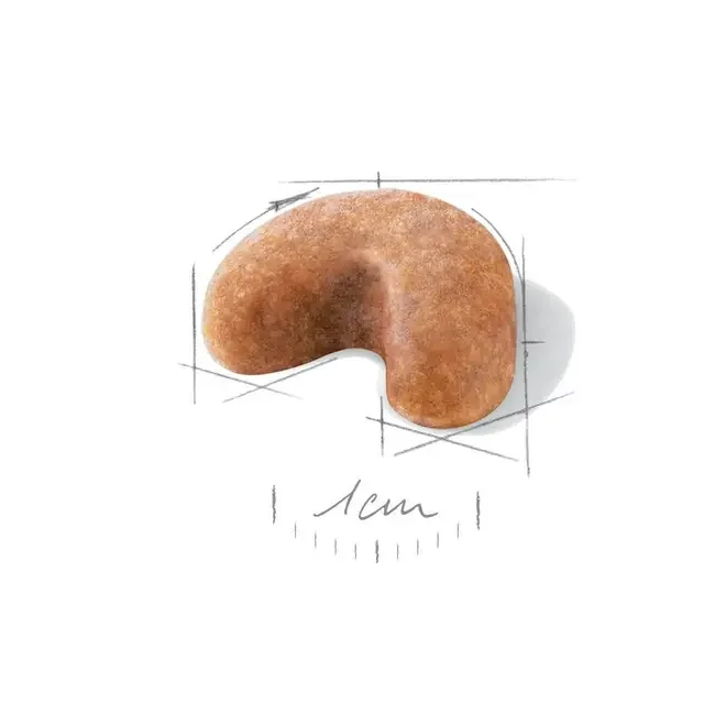 Royal Canin French Bulldog Puppy 3 kg