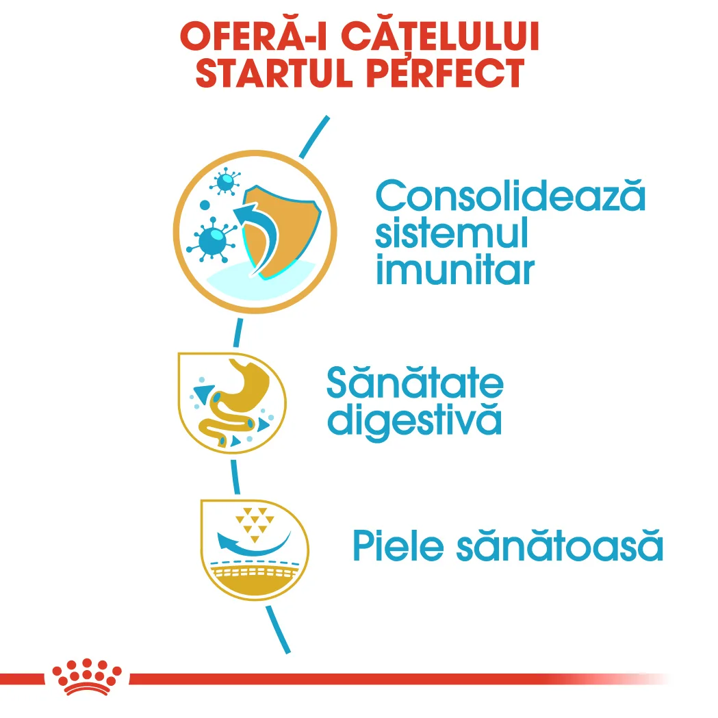 Royal Canin French Bulldog Puppy 3 kg